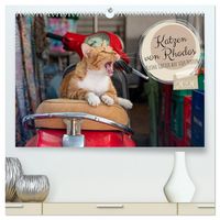 Produktbild: Katzen von Rhodos - Kleine G&ouml;tter auf vier Pfoten (hochwertiger Premium Wandkalender 2026 DIN A2 quer), Kunstdruck in Hochglanz