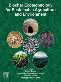 Produktbild: Biochar Ecotechnology for Sustainable Agriculture and Environment