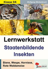 Produktbild: Lernwerkstatt Staatenbildende Insekten