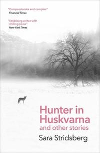 Produktbild: Hunter in Huskvarna