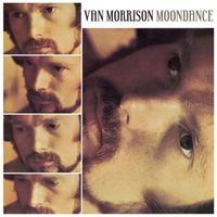 Bild vom Artikel Moondance vom Autor Van Morrison