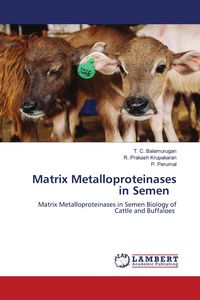 Produktbild: Matrix Metalloproteinases in Semen