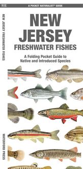 Produktbild: New Jersey Freshwater Fishes
