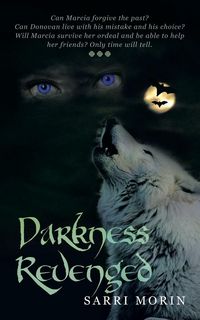 Produktbild: Darkness Revenged