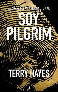 Bild vom Artikel Soy Pilgrim vom Autor Terry Hayes