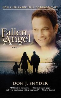 Produktbild: Fallen Angel