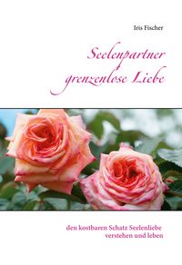 Produktbild: Seelenpartner grenzenlose Liebe