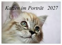 Produktbild: Katzen im Portr&auml;t / Geburtstagskalender (Wandkalender 2027 DIN A3 quer), CALVENDO Monatskalender