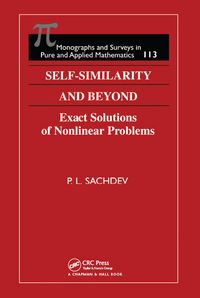 Produktbild: Self-Similarity and Beyond