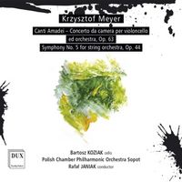 Produktbild: Canti Amadei op.63/Sinfonie 5 op.44
