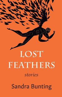 Produktbild: Lost Feathers