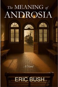 Produktbild: The Meaning of Androsia