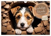 Produktbild: Kuschelige Hunde - kleine Herzensbrecher in Aktion (Wandkalender 2026 DIN A4 quer), CALVENDO Monatskalender