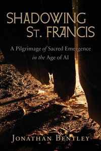Produktbild: Shadowing St. Francis