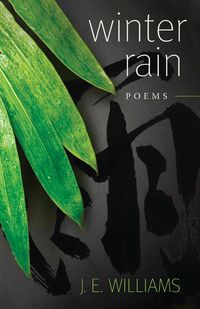 Produktbild: Winter Rain