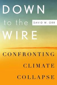 Produktbild: DOWN TO THE WIRE