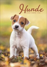 Produktbild: Hunde 2027