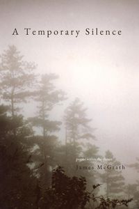 Produktbild: A Temporary Silence