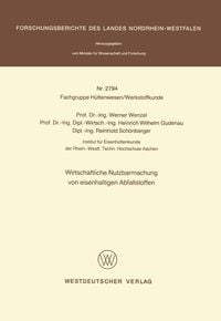 Produktbild: Wirtschaftliche Nutzbarmachung von eisenhaltigen Abfallstoffen