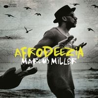 Produktbild: Afrodeezia