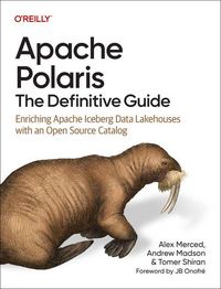 Produktbild: Apache Polaris: The Definitive Guide