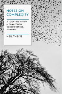 Produktbild: Notes on Complexity