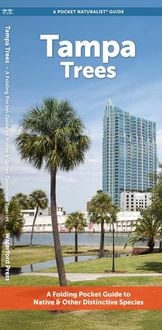 Produktbild: Tampa Trees