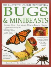 Produktbild: Illustrated Wildlife Encyclopedia: Bugs & Minibeasts