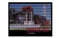 Produktbild: GENIUS LOCI