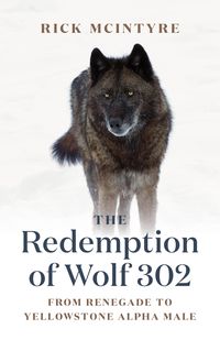 Produktbild: The Redemption of Wolf 302