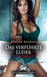 Produktbild: Das verf&uuml;hrte Luder | Erotische Geschichte + 2 weitere Geschichten