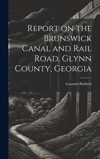 Produktbild: Report on the Brunswick Canal and Rail Road, Glynn County, Georgia