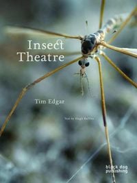 Produktbild: Insect Theatre