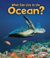 Produktbild: What Can Live in the Ocean?