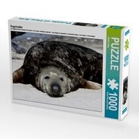 Produktbild: CALVENDO Puzzle Kegelrobbe | 1000 Teile Lege-Gr&ouml;&szlig;e 64x48cm Foto-Puzzle f&uuml;r gl&uuml;ckliche Stunden