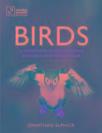 Produktbild: Birds