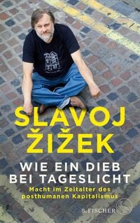 Produktbild: Wie ein Dieb bei Tageslicht