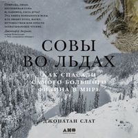 Produktbild: Owls of the Eastern Ice: A Quest to Find and Save the World's Largest Owl
