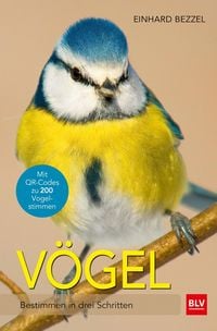 Produktbild: V&ouml;gel