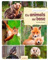 Produktbild: Els animals del bosc