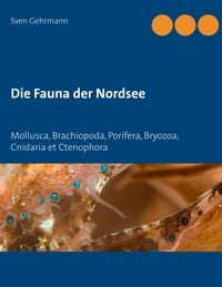 Produktbild: Die Fauna der Nordsee