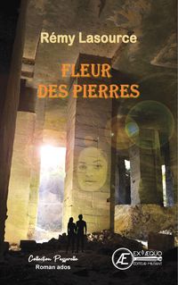 Produktbild: Fleur des pierres