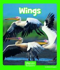 Produktbild: Wings