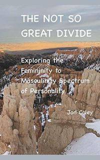 Produktbild: The Not So Great Divide