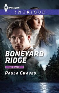 Produktbild: Boneyard Ridge