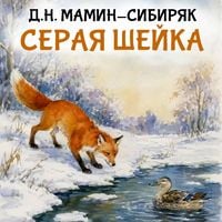 Produktbild: Seraya sheyka
