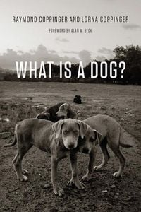Produktbild: What Is a Dog?