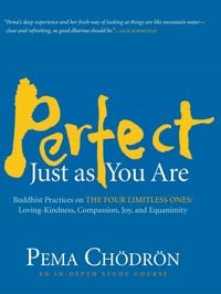 Produktbild: Perfect Just as You Are