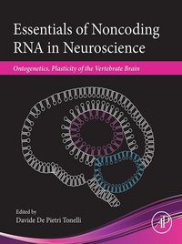 Produktbild: Essentials of Noncoding RNA in Neuroscience