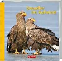 Produktbild: Seeadler im Aufwind